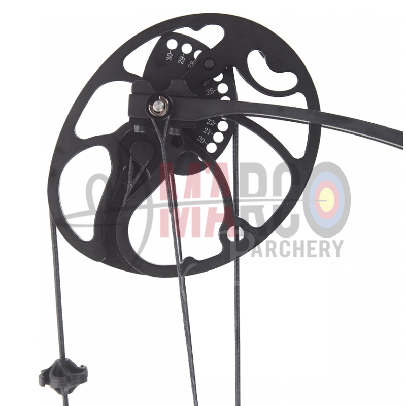 BOOSTER COMPOUND XT 31.1