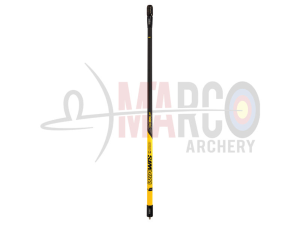 WIN&WIN ASTA CENTRALE WIAWIS S21 