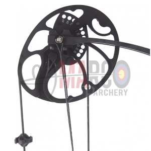 BOOSTER COMPOUND XT 31.1