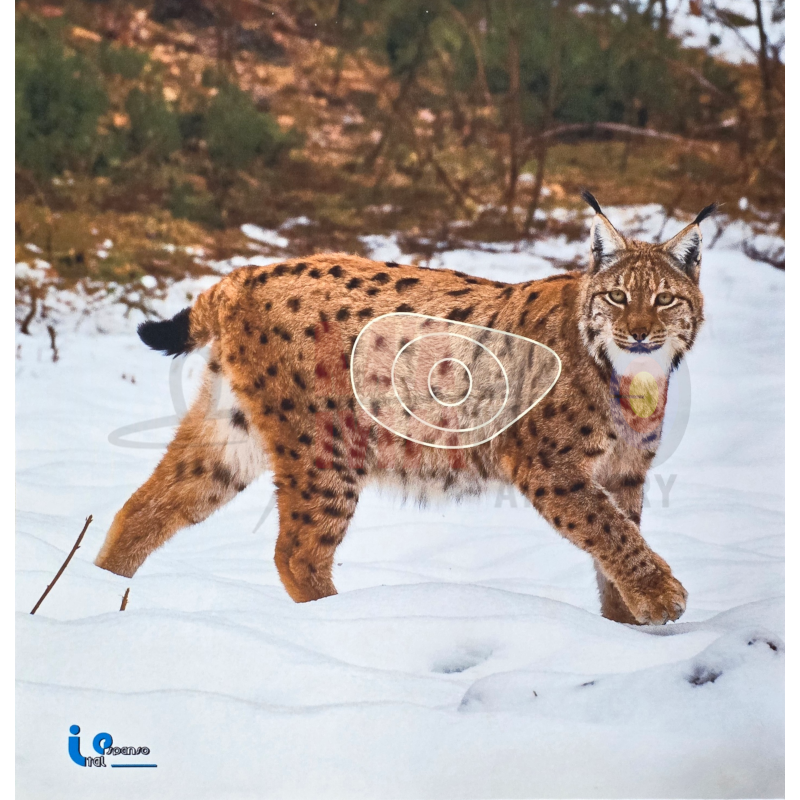 ANIMAL VISUALE 2D IN NEOPRENE LINCE