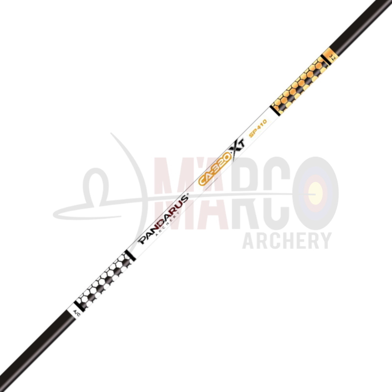 PANDARUS ASTA CA320XT