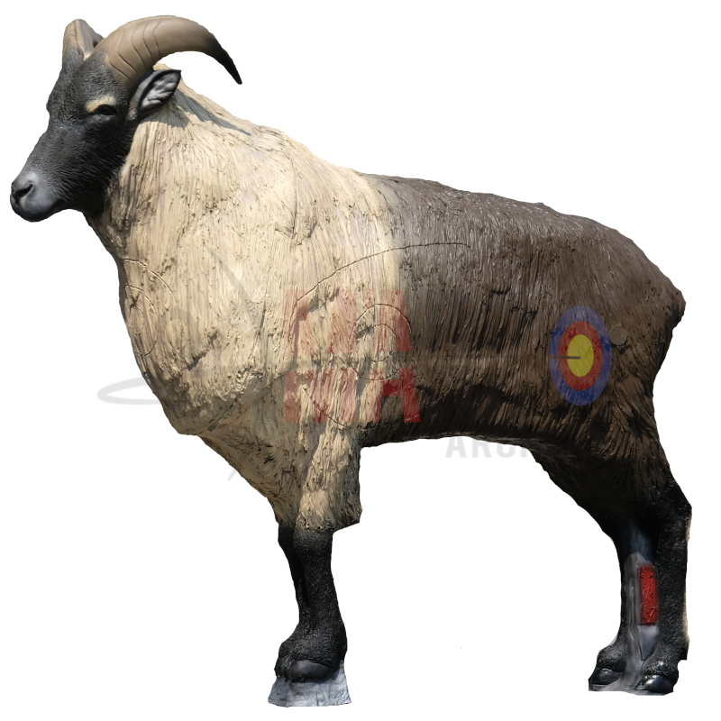 SRT SAGOMA TAHR DELL'HIMALAYA
