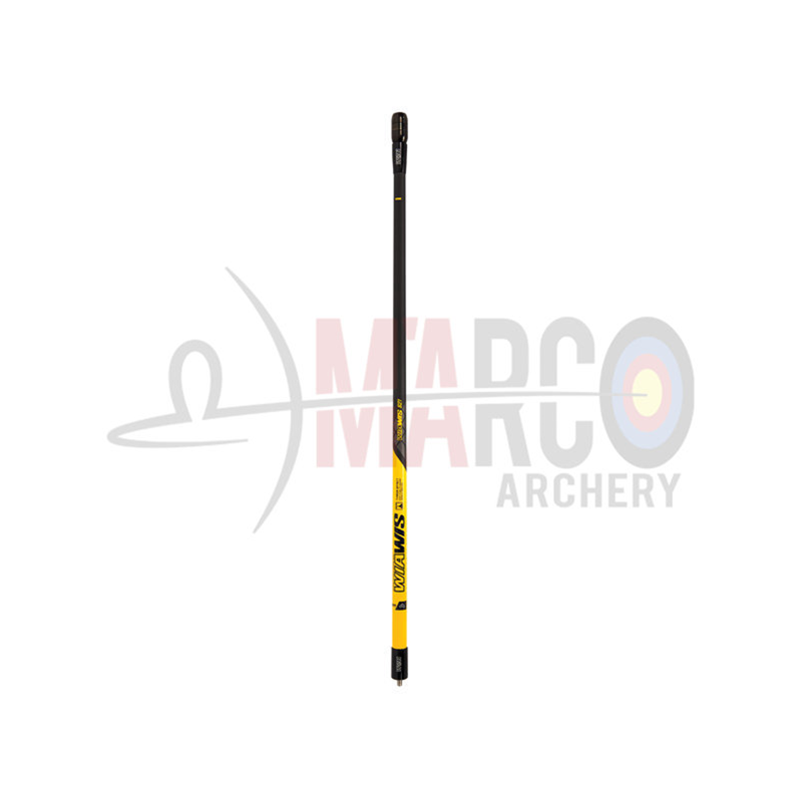 WIN&WIN ASTA CENTRALE WIAWIS S21 