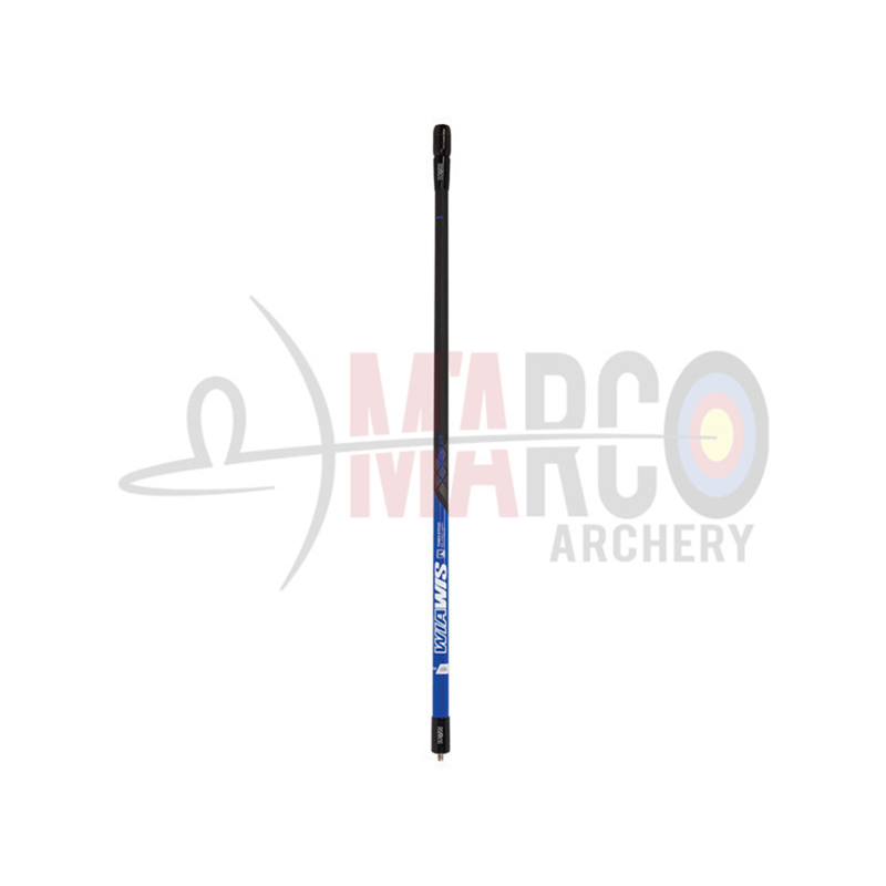 WIN&WIN ASTA CENTRALE WIAWIS S21 