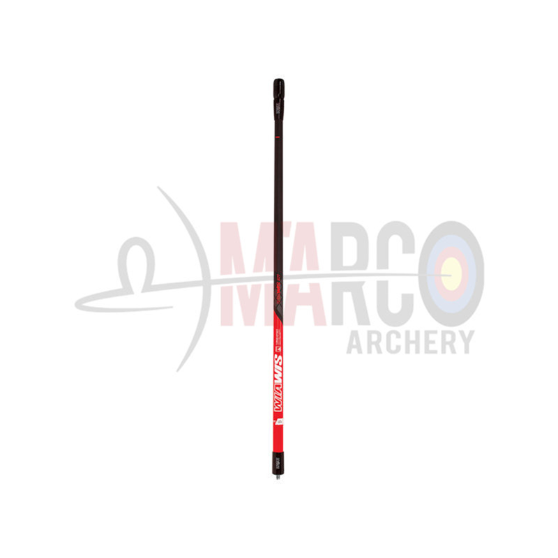 WIN&WIN ASTA CENTRALE WIAWIS S21 