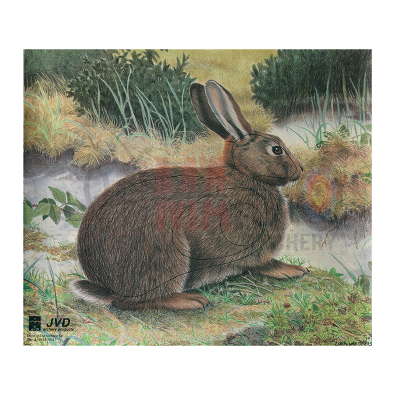JVD VISUALE IN CARTA CONIGLIO